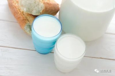皇氏来思尔乳业举办2022年营销年会